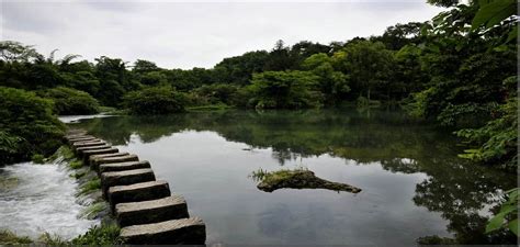 貴陽動物公園有哪些：深度探索與細數其精彩之處